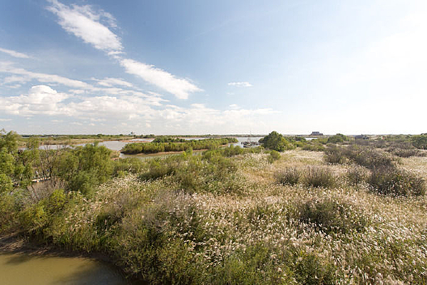 �ƺ��뺣��