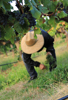 ũ���ժ����