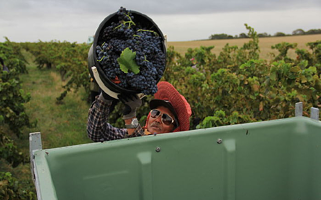 ���ѷ���