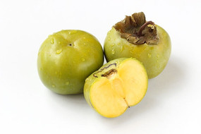 ��ɫ�����ϵ�����