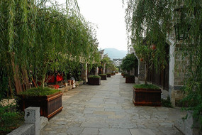 �������־�