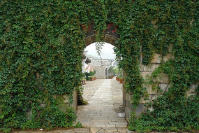 �����������