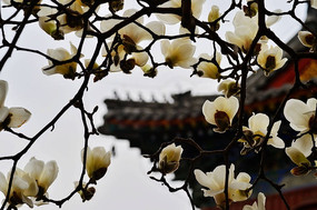 �Ž���������