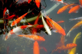 �������