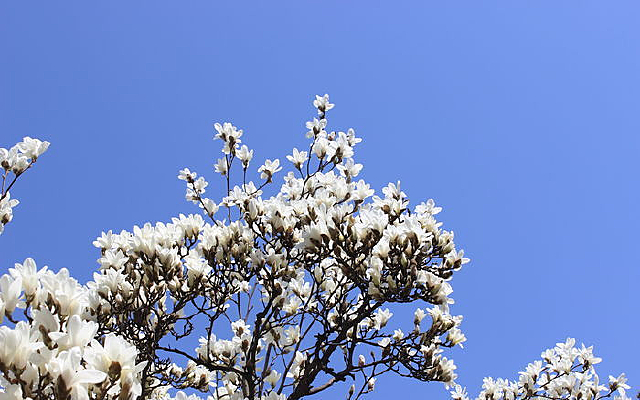 �����µ�������