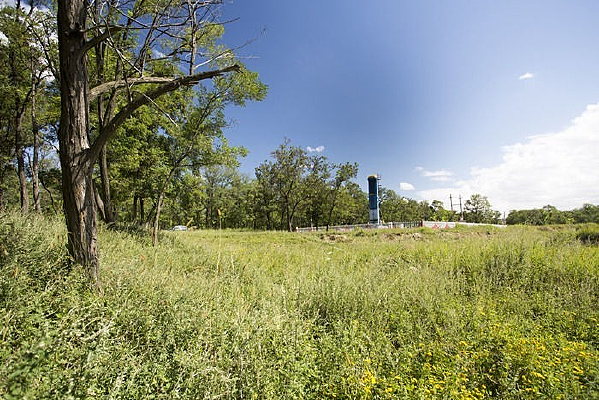 ��԰������ɫ