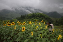 ��ʧ�ڻ���