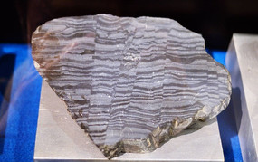 ����״�ϲ�