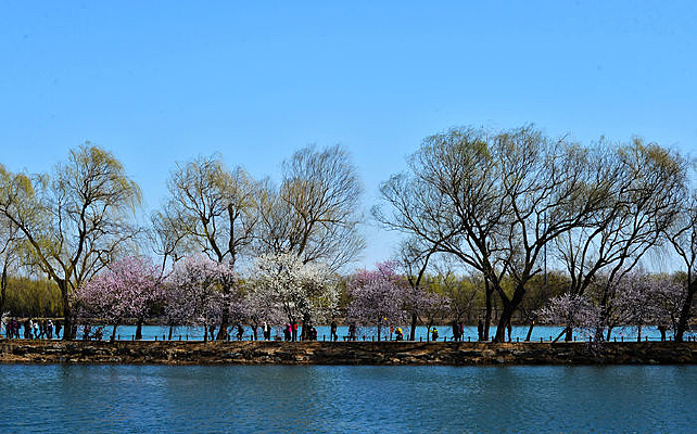 ���̵��ο�