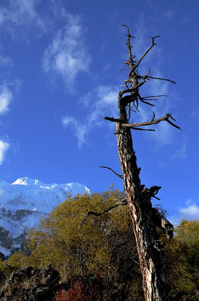 �Ƕ��Ŀ���