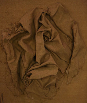 ���鲼���͹�����