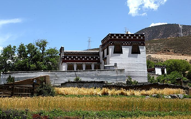 �ٵ´����ɫ����