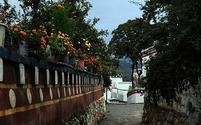 �ٵ´�Χǽ�ϵĻ���