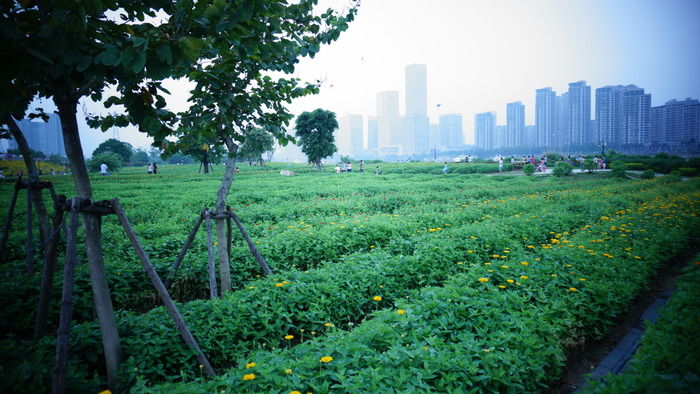 ��԰��˹��