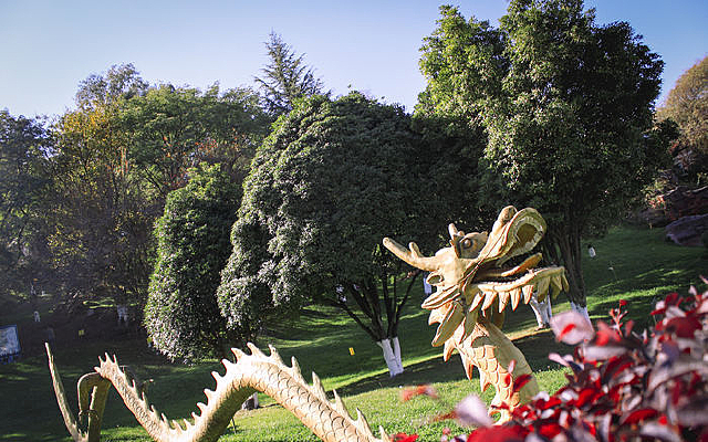 ��԰�ڵĵ���