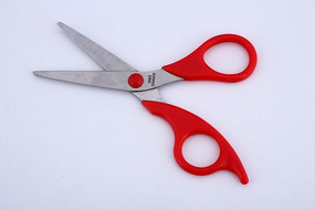 ��ɫ����