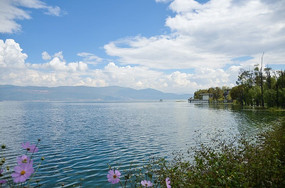 ���ϴ����������