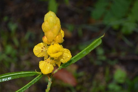 ������ˮ��