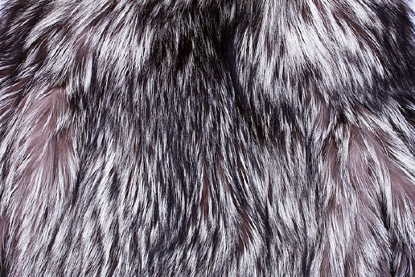 �Ұ���������