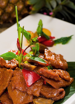  ̩����ݳ�ţ��