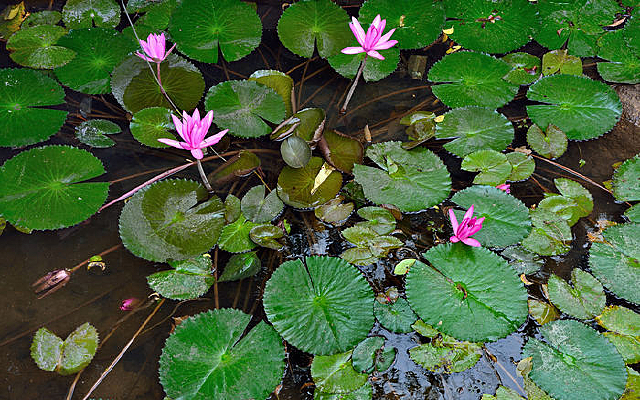 �������˯��