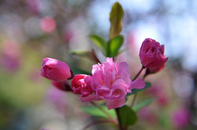 ����뿪�Ĵ�˿����