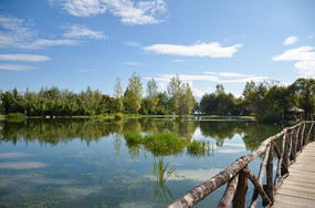 ��������µĺ���С��