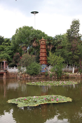 ˮ�����������