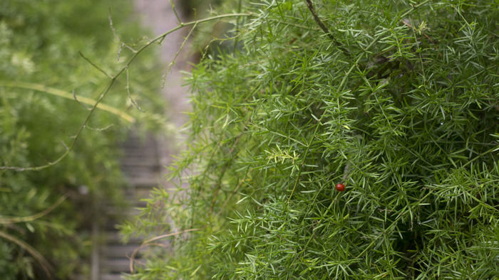 С������