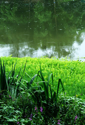 �ӱ������͵�ˮ��