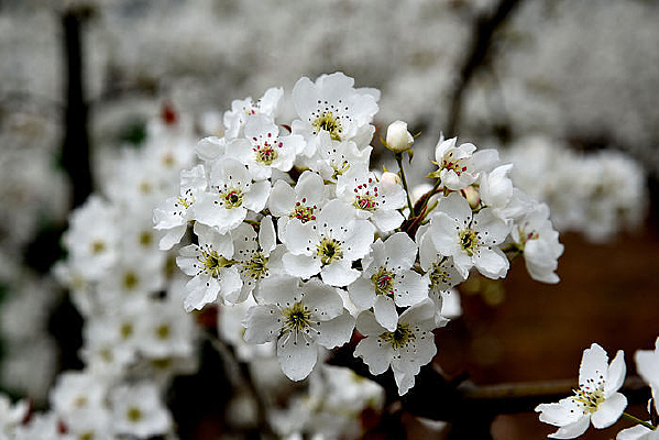 �滨������д