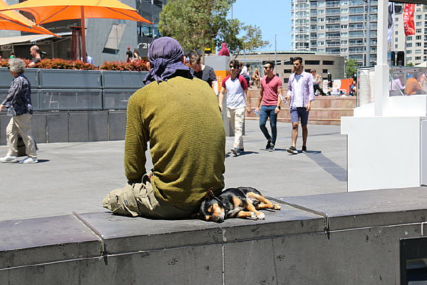 ���˺��빷