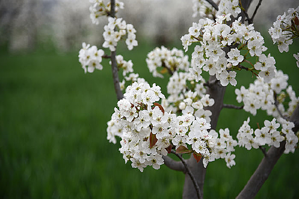 ���������滨