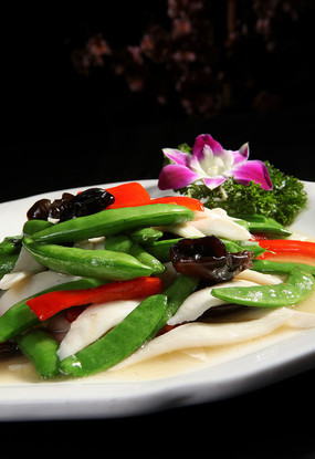 �۶�������