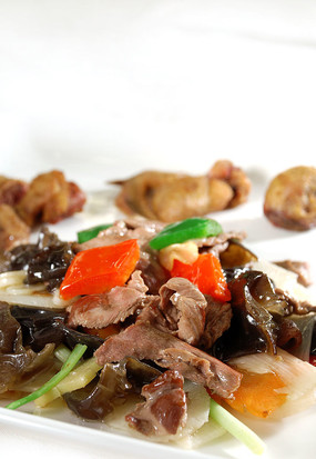 �������Ƭ