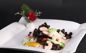  ʤ���ƶ���Ϻ��