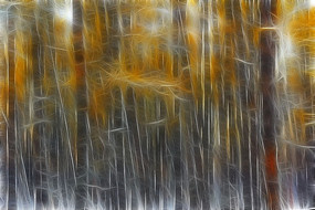 ���Ի����λ����֡�