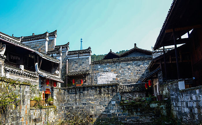 �������׹Ŵ�