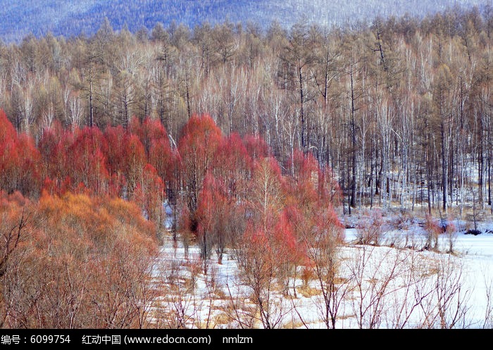 �ֺ�ѩԭ����ͼƬ