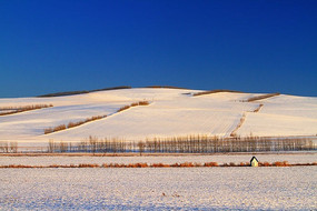 ũ�������ѩ��