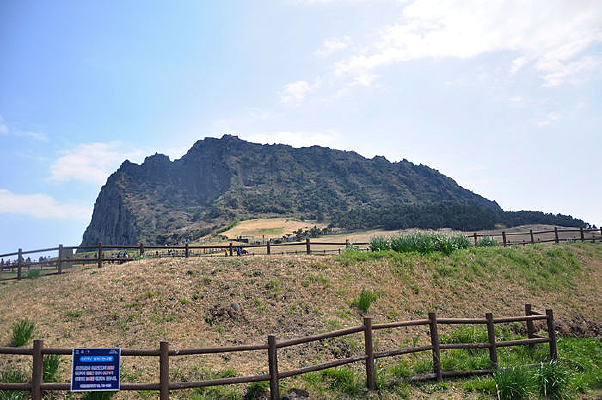 �ݵ�ɽ������