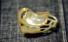 ��������Ϲ�׹