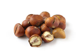 �ױ����ϵİ���