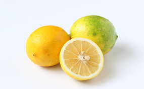 �ױ����ϵ�����