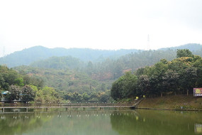 ����ͼƬľ��