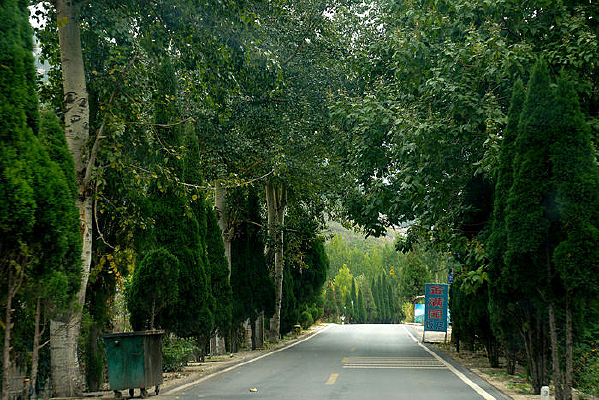 ·������