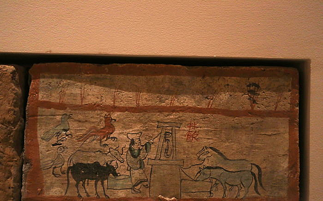 ��������ש����Ⱥ