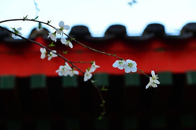 �����µĻ���