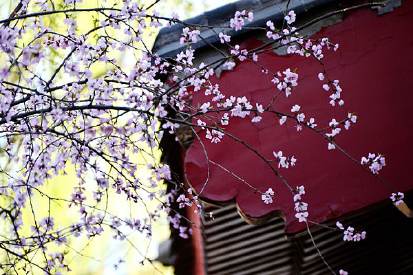 �������ʻ�