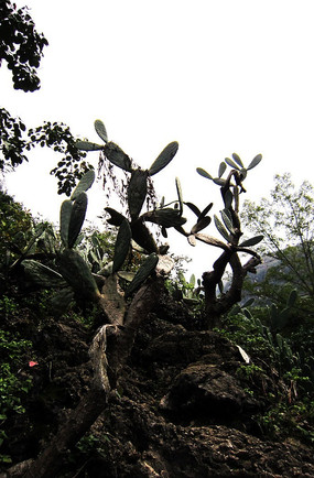 �����ͱ��ϵİ���������